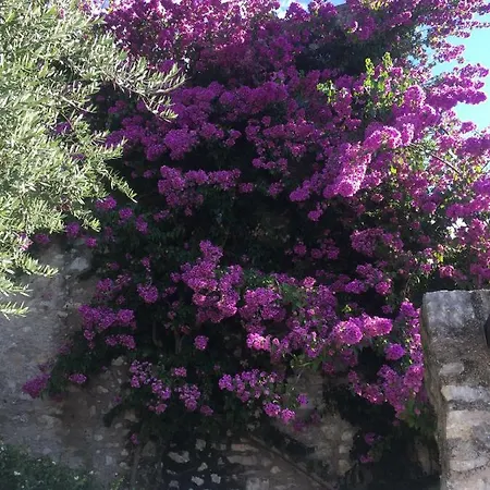 וילה Rachele: Stunning Luxury In Centre With Private Pool And Breathtaking Views *